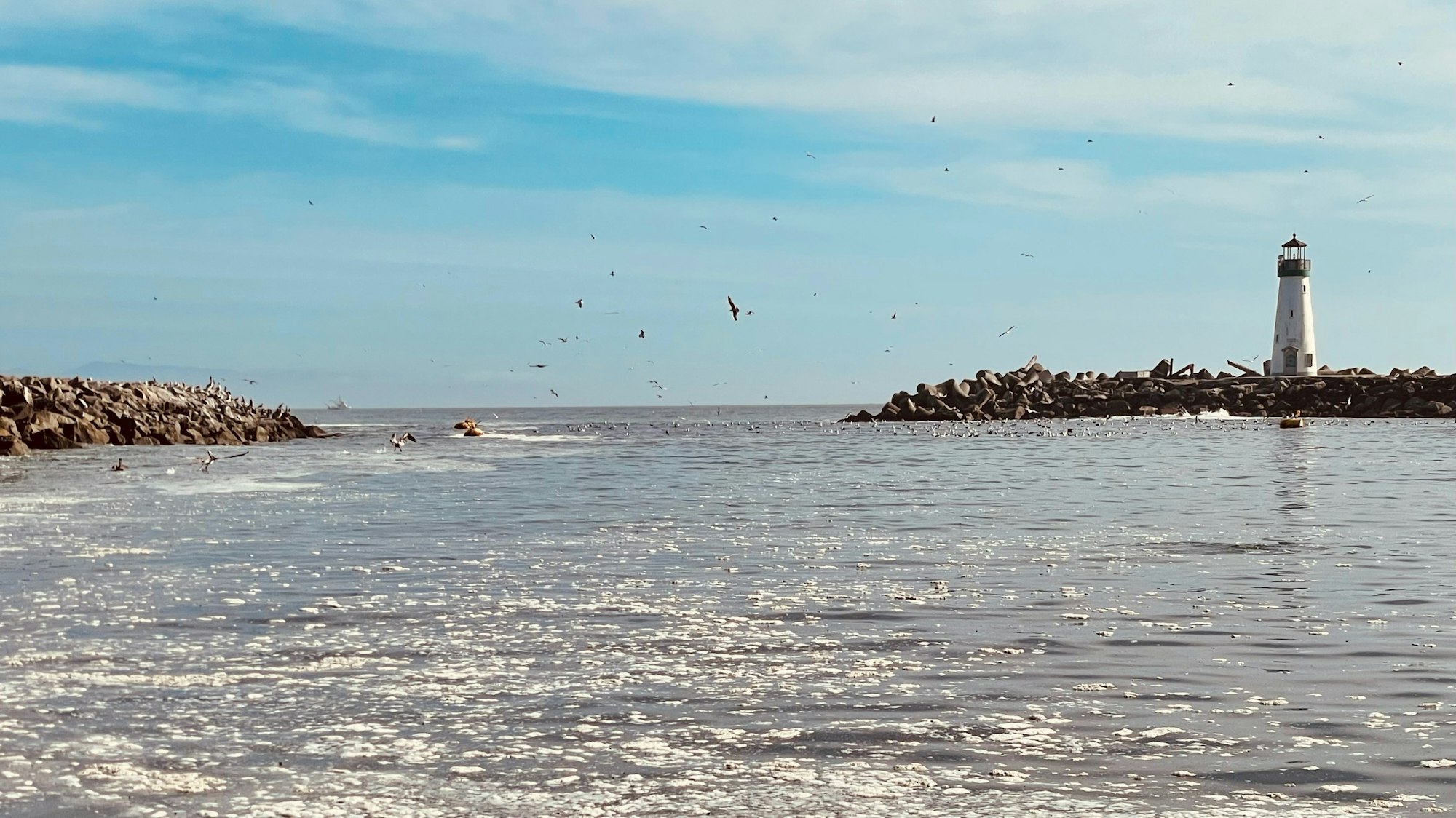 A lighthouse stands by the rocky shore, with many seagulls flying over a calm sea under a blue sky.