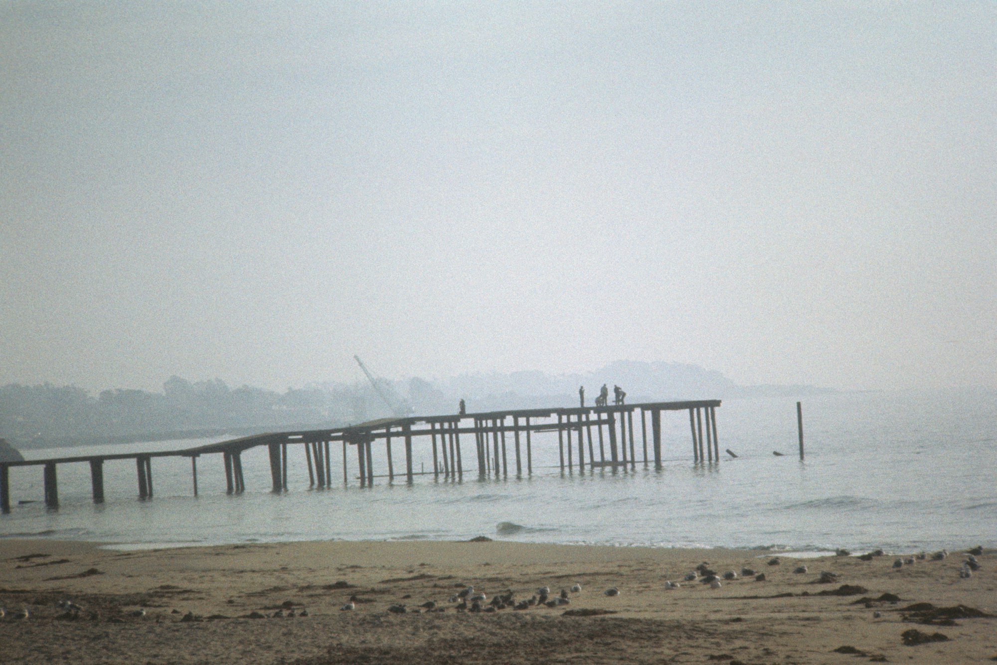 Beach scene with a partially constructed pier and people, seagulls on sand, hazy sky.