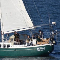 May contain: boat, sailboat, transportation, vehicle, yacht, person, boy, child, and male