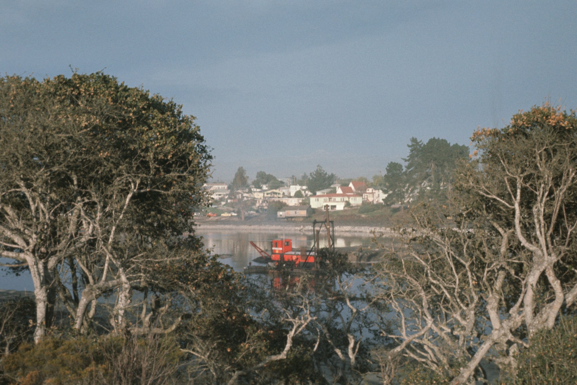 A scenic view with trees in the foreground, a red boat on water, and houses in the backdrop.