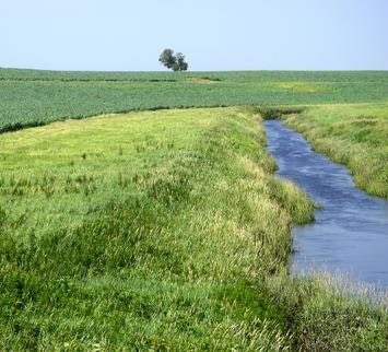 May contain: ditch, outdoors, field, grassland, nature, grass, plant, and land