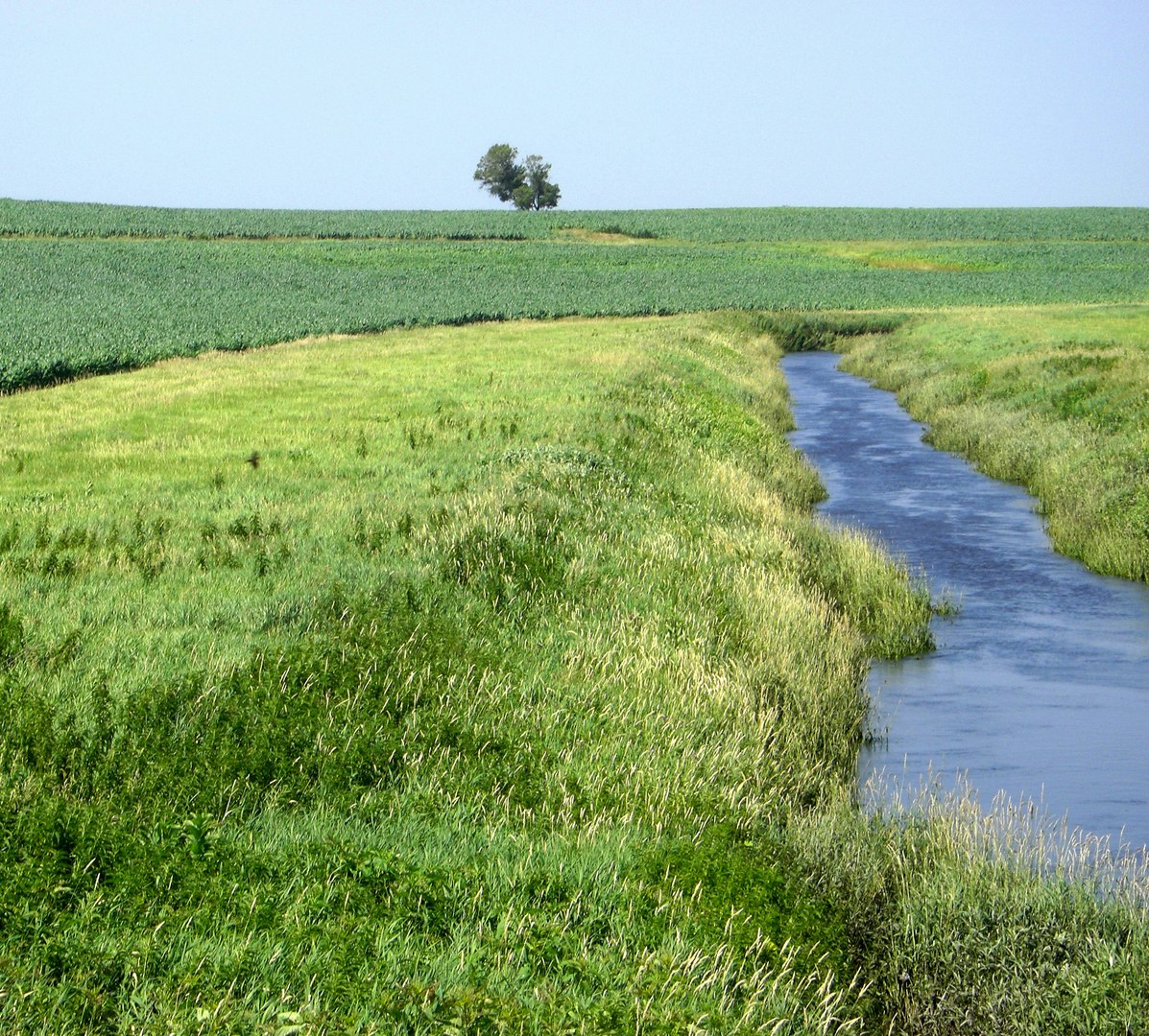 May contain: ditch, outdoors, field, grassland, nature, grass, plant, and land