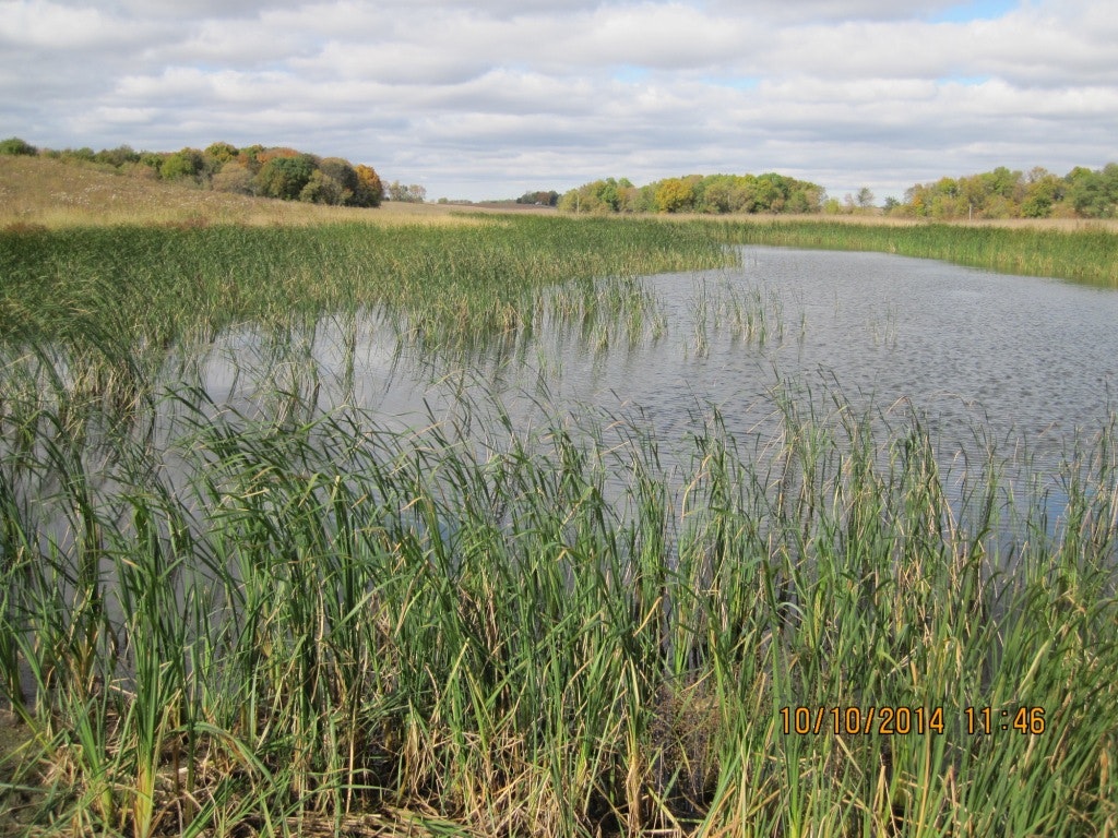 May contain: nature, outdoors, pond, water, land, grass, plant, vegetation, and swamp