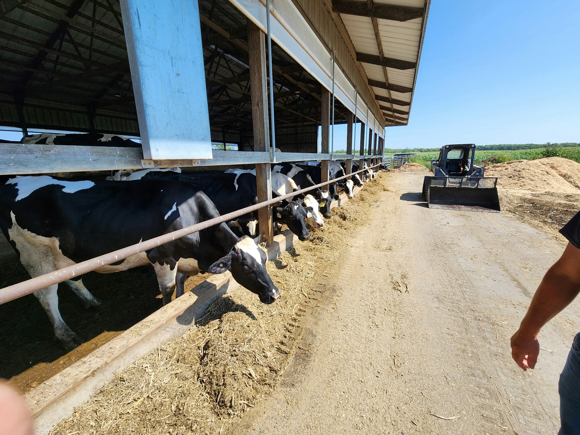Heldberg Dairy