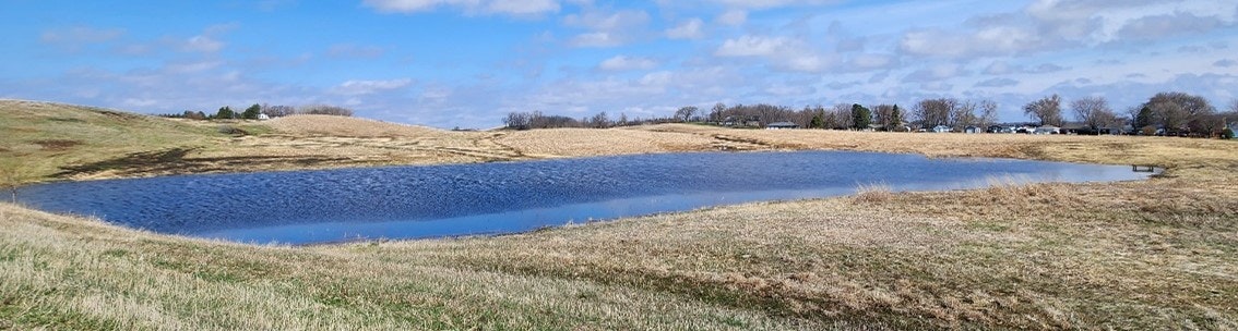 A panoramic view of a restored wetland