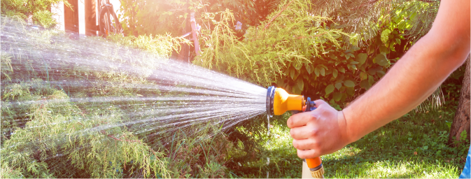 A person is watering plants in a garden using a garden hose with water spraying out.