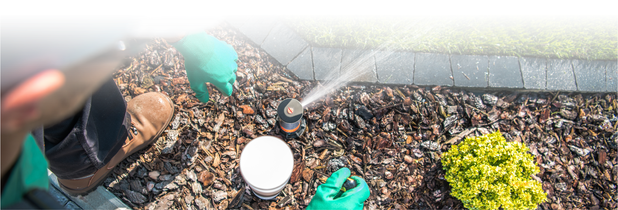 A person in gloves is working on a garden, using a spray device over mulch and plants, possibly watering or treating them.