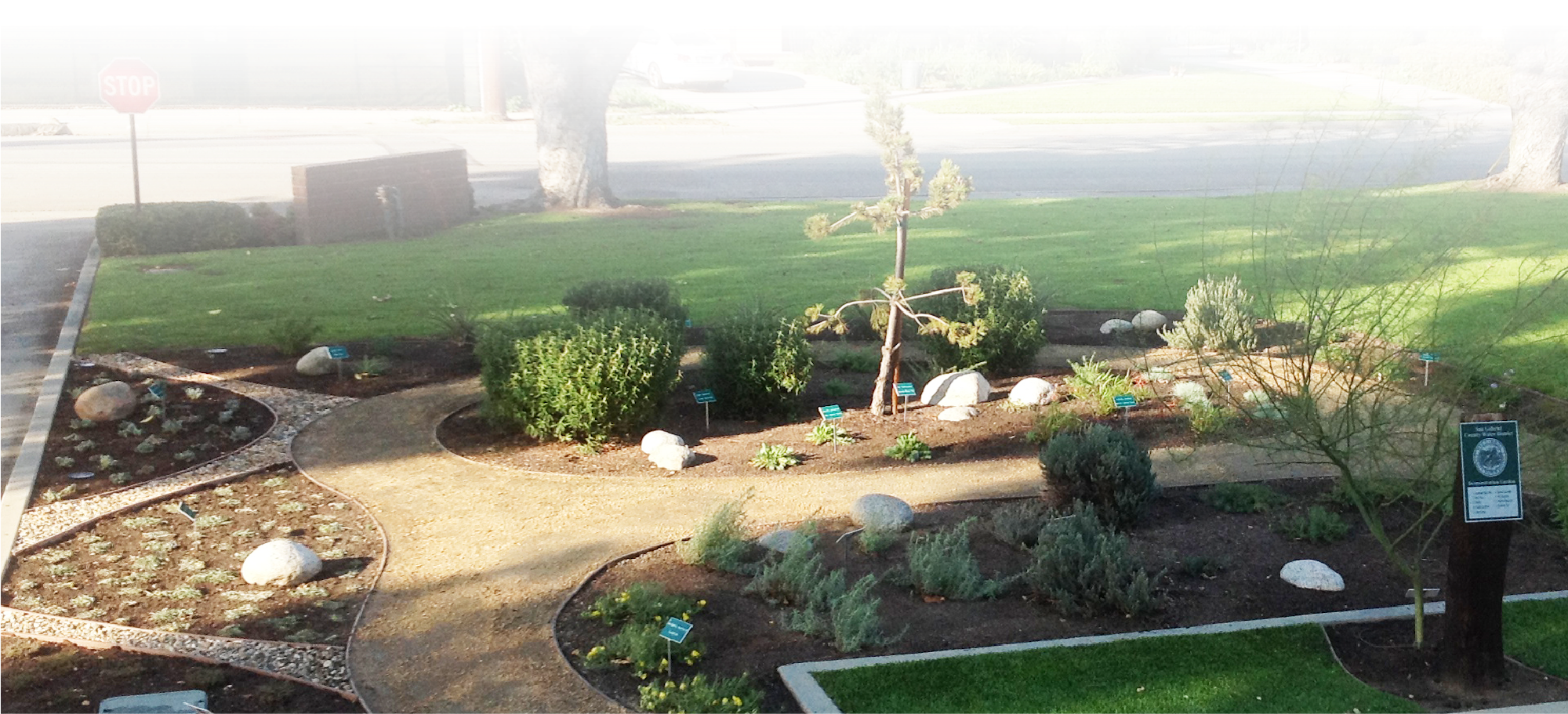 A landscaped garden with plants, stones, and a stop sign, featuring a winding path and signage about the plants.