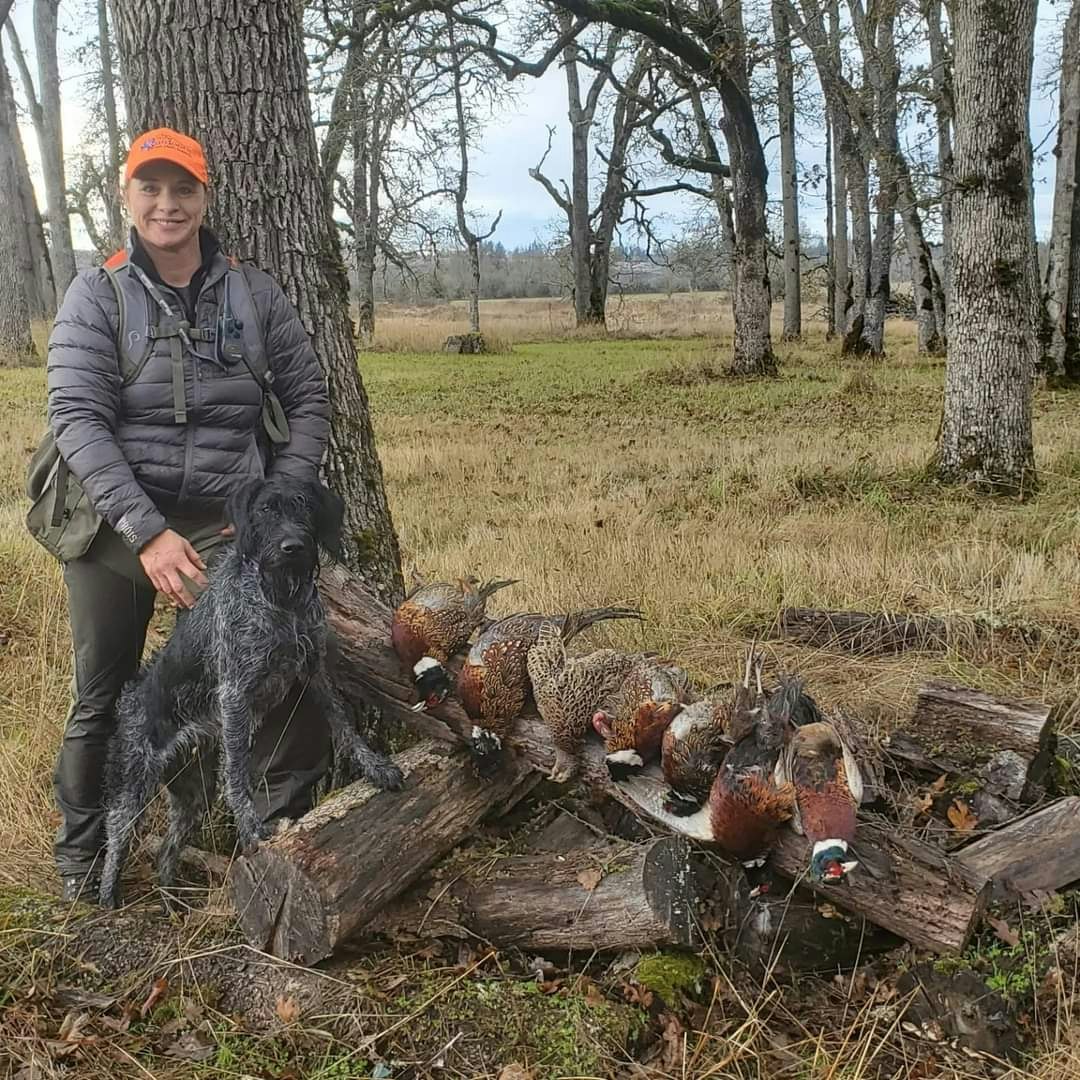 A person with a dog and several game birds laid out on logs in a woodland field.