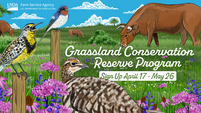 A promotional image for Grassland Conservation with birds, cows, flowers, and sign-up dates.
