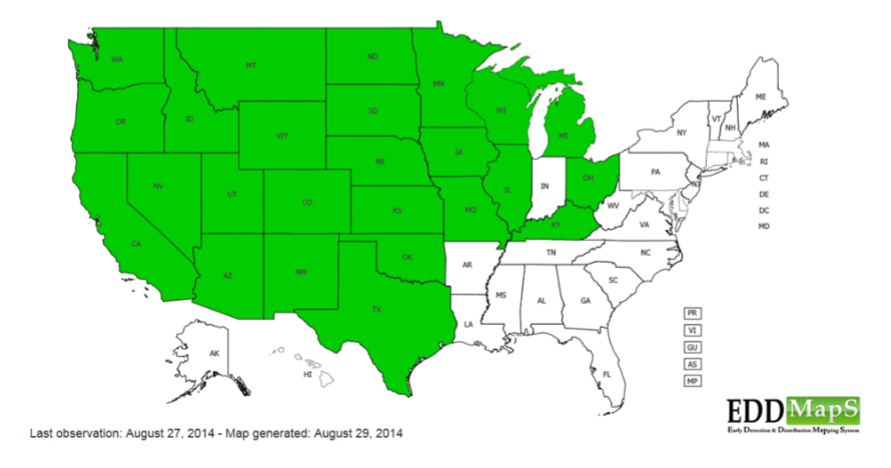 A map of the US showing states in green, possibly indicating data presence or an event, with text citing an observation date and map generation date.
