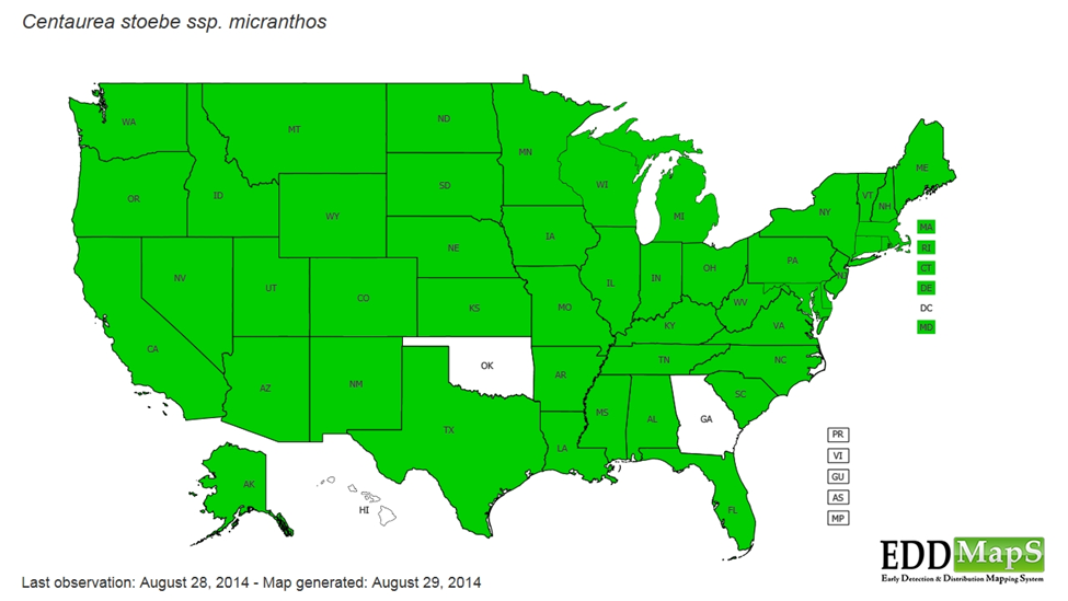 A map showing the distribution of Centaurea stoebe ssp. micranthos across the United States, marked in green.