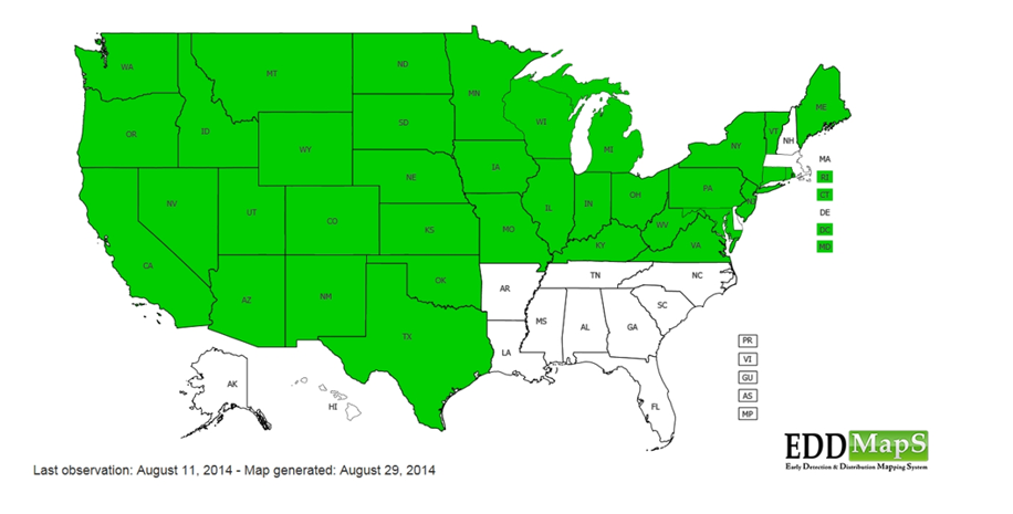 A color-coded map of the United States indicating data from the Early Detection & Distribution Mapping System (EDDMapS).