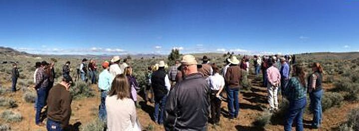 A group of people, many wearing hats, gathered outdoors in a field with blue sky overhead.