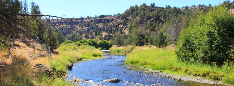 A tranquil river winding through a green landscape with trees and a bridge in the background under a clear blue sky.