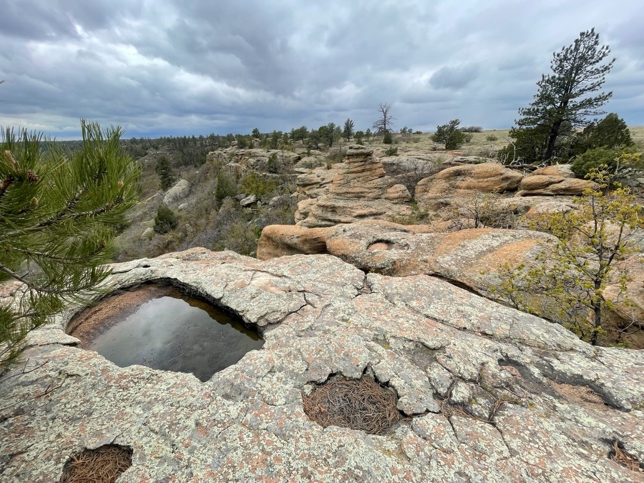 Rocky terrain with trees and a water-filled hole under a cloudy sky.