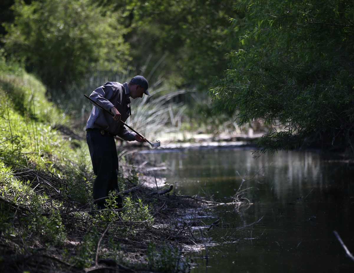 A person fishing by a serene river surrounded by lush greenery.