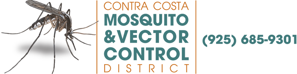 Contra Costa County Pest Control Contra Costa County Pest Control