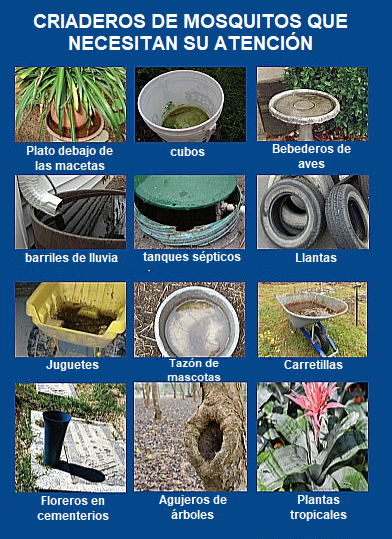 Criaderos de mosquitos incluyen platos, cubos, bebederos, barriles, tanques, llantas, juguetes, tazones, carretillas, floreros, agujeros, plantas.