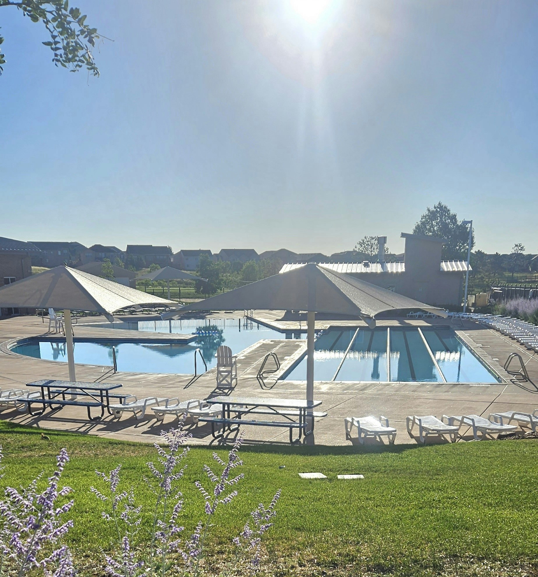 A sunny pool area with two swimming pools, umbrellas, lounge chairs, and grassy landscaping in a residential setting.