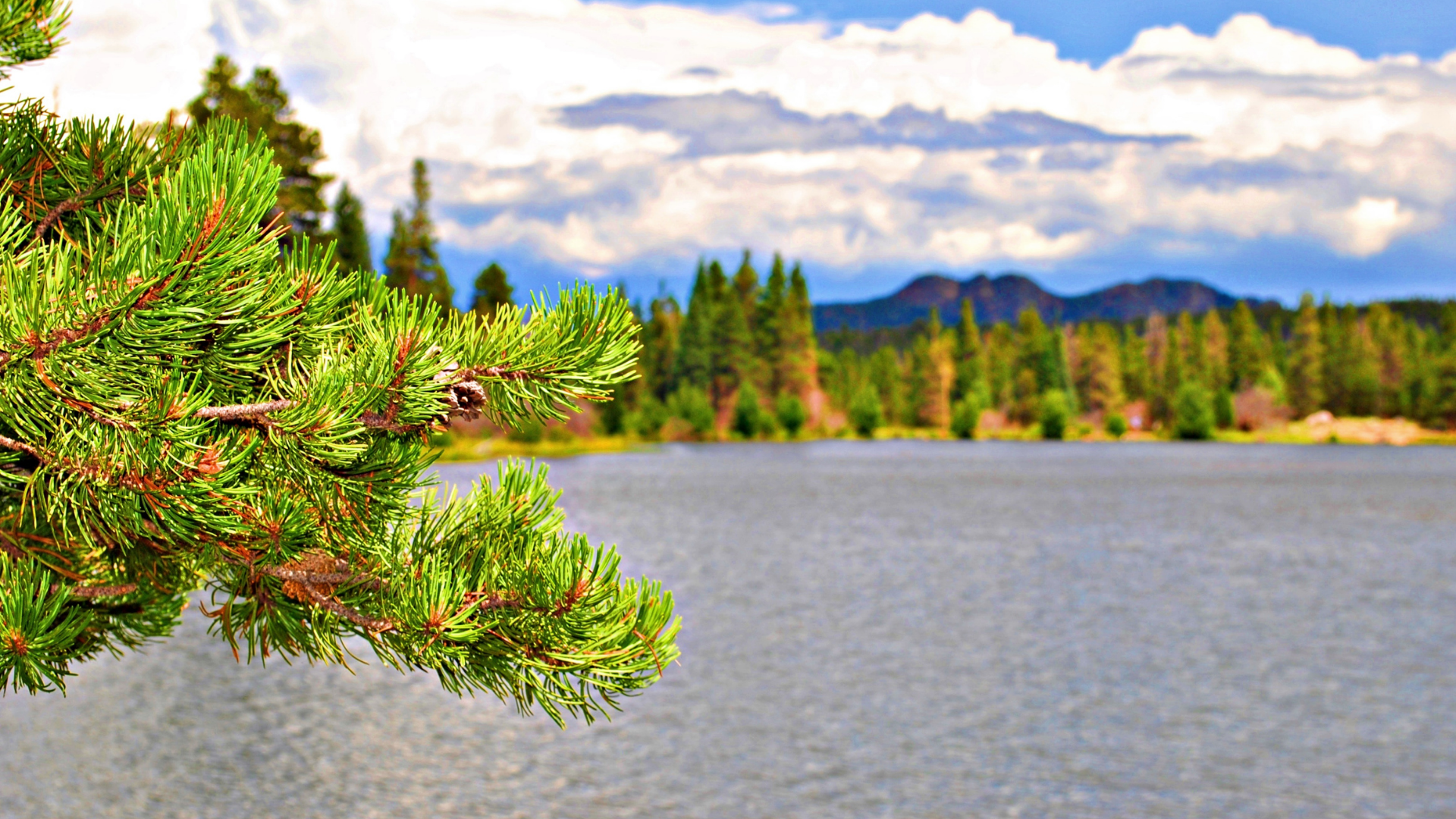 A close-up of evergreen branches in front of a serene lake surrounded by trees and distant mountains under a cloudy sky.