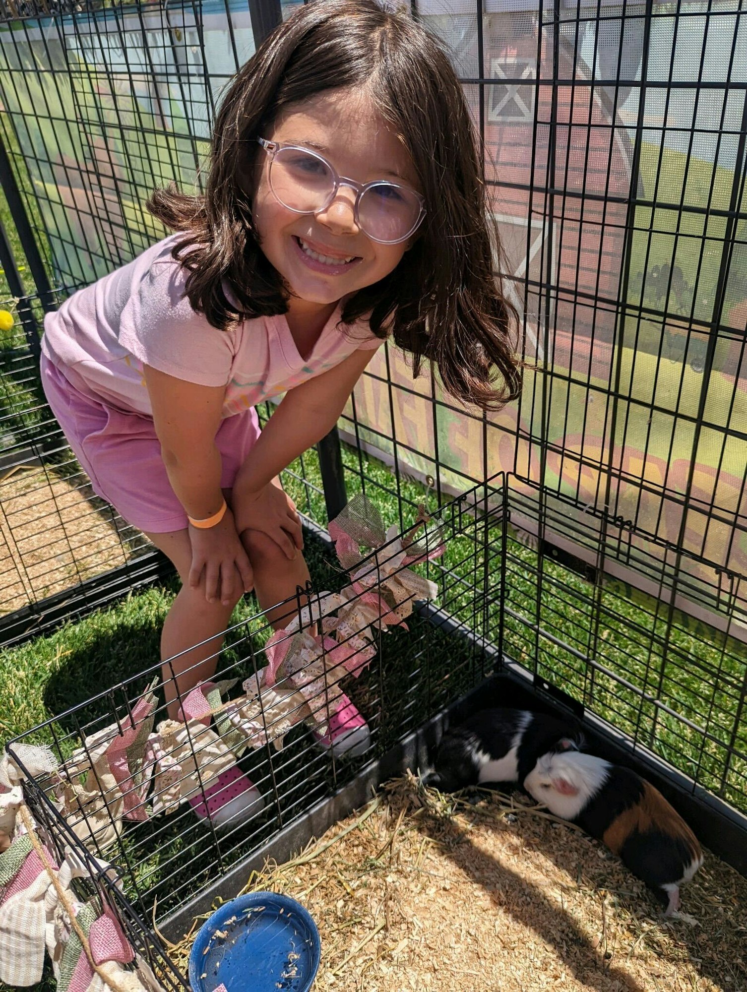 A child smiles by a cage with two guinea pigs on grass, next to a blue bowl.