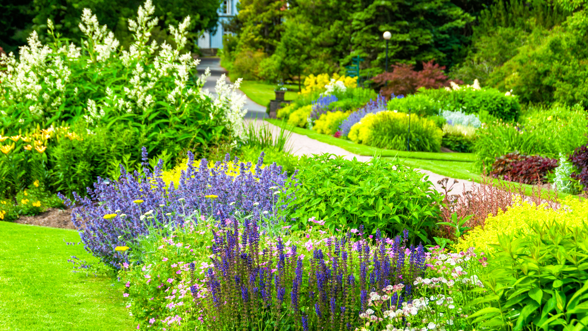 A vibrant garden pathway lined with colorful flowers and lush greenery, creating a serene and picturesque landscape.