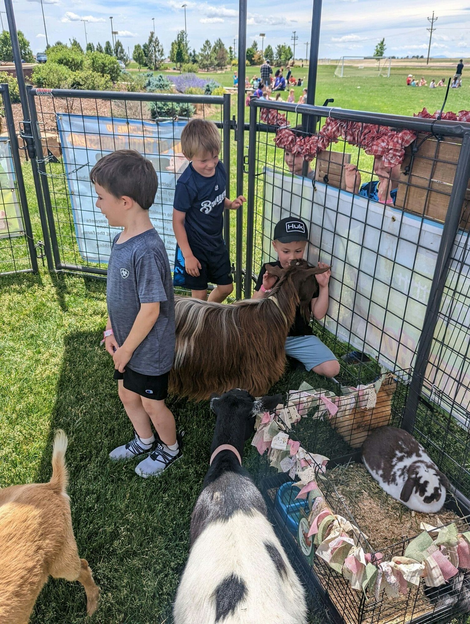 Children interacting with goats and a rabbit in a pen at an outdoor event on grass.