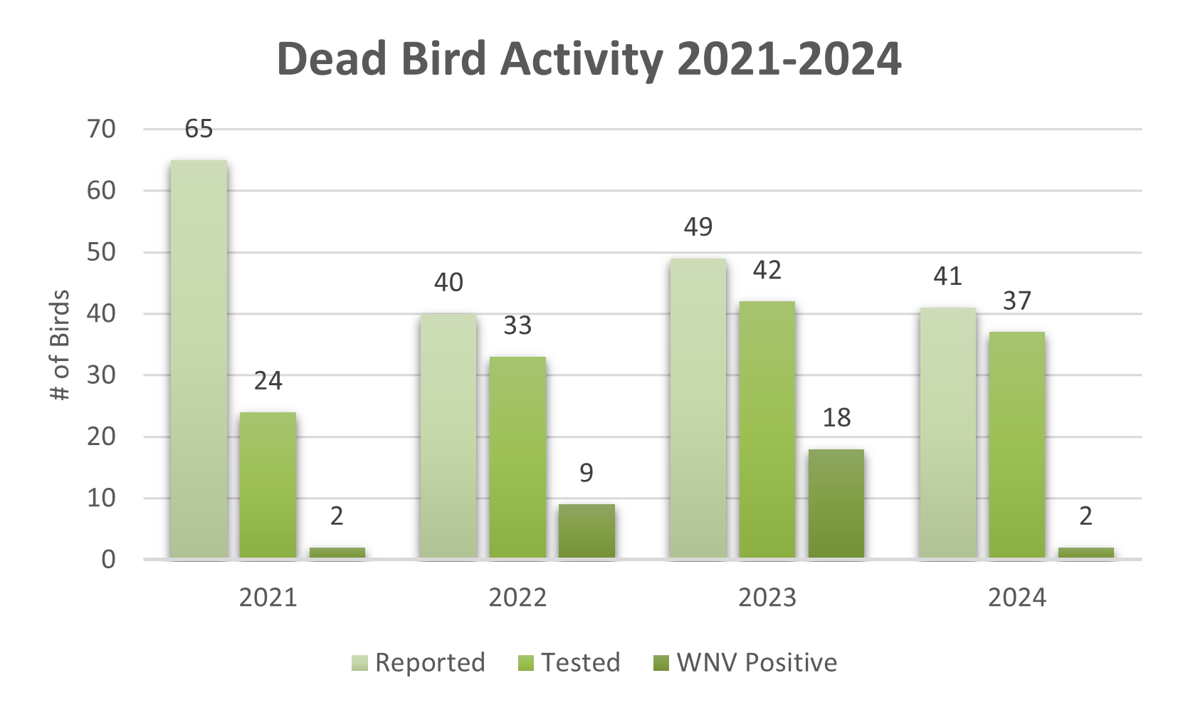 Bar chart of dead bird reports, tests, and WNV positives from 2021-2024. Highest reporting in 2021.