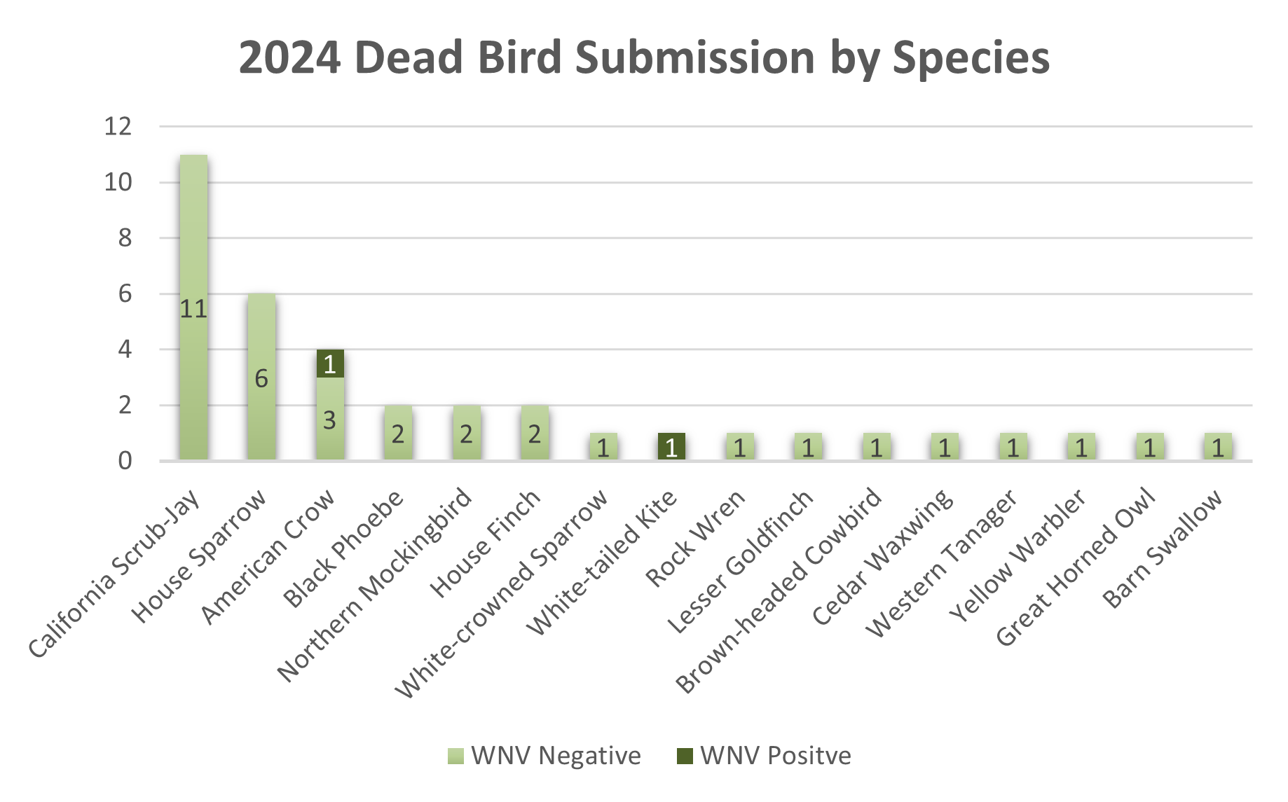 Bar chart of 2024 dead bird submissions by species, showing WNV Negative and WNV Positive cases. California Scrub-Jay leads with 11.