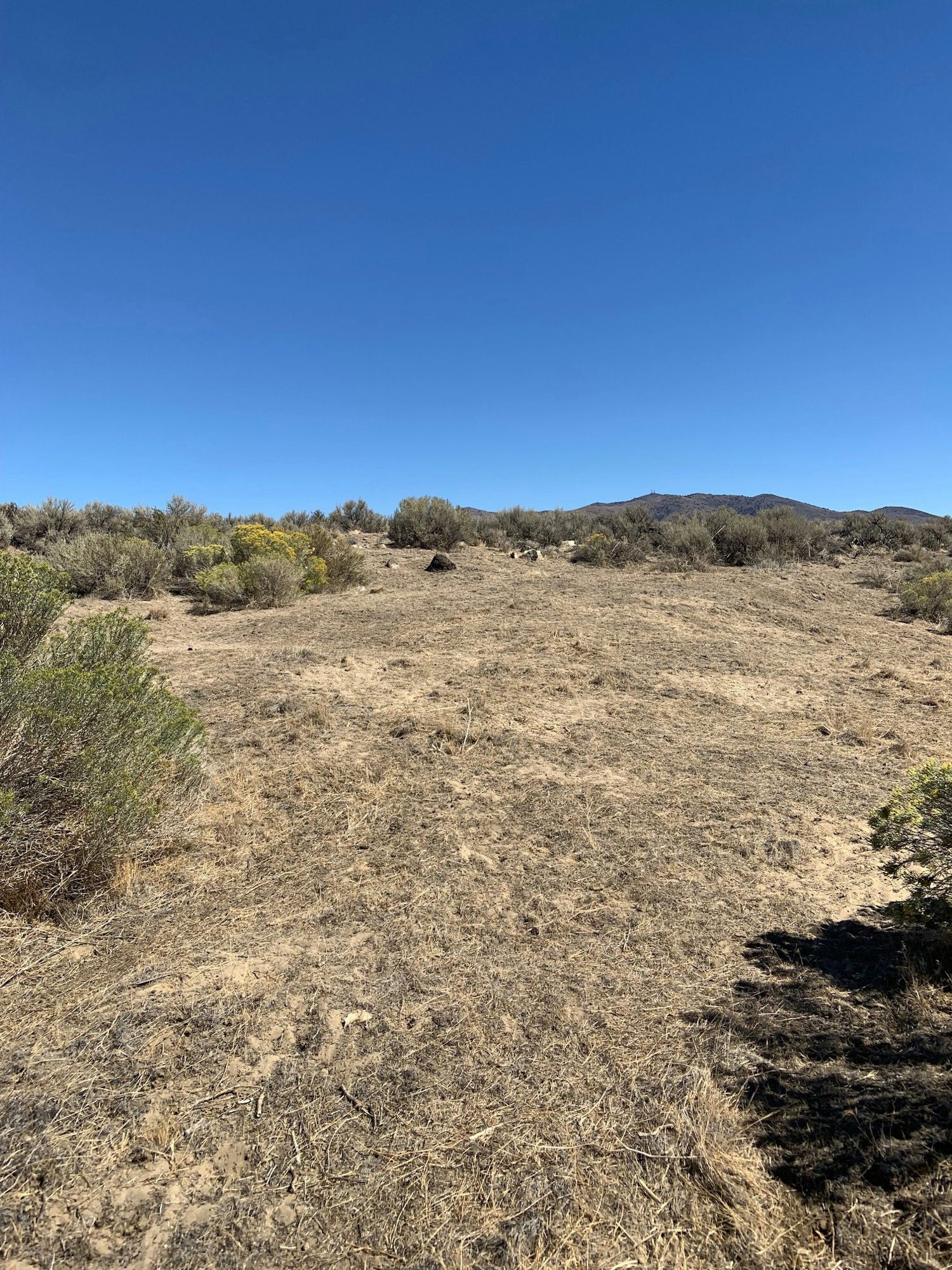 May contain: ground, gravel, dirt road, road, nature, outdoors, and wilderness