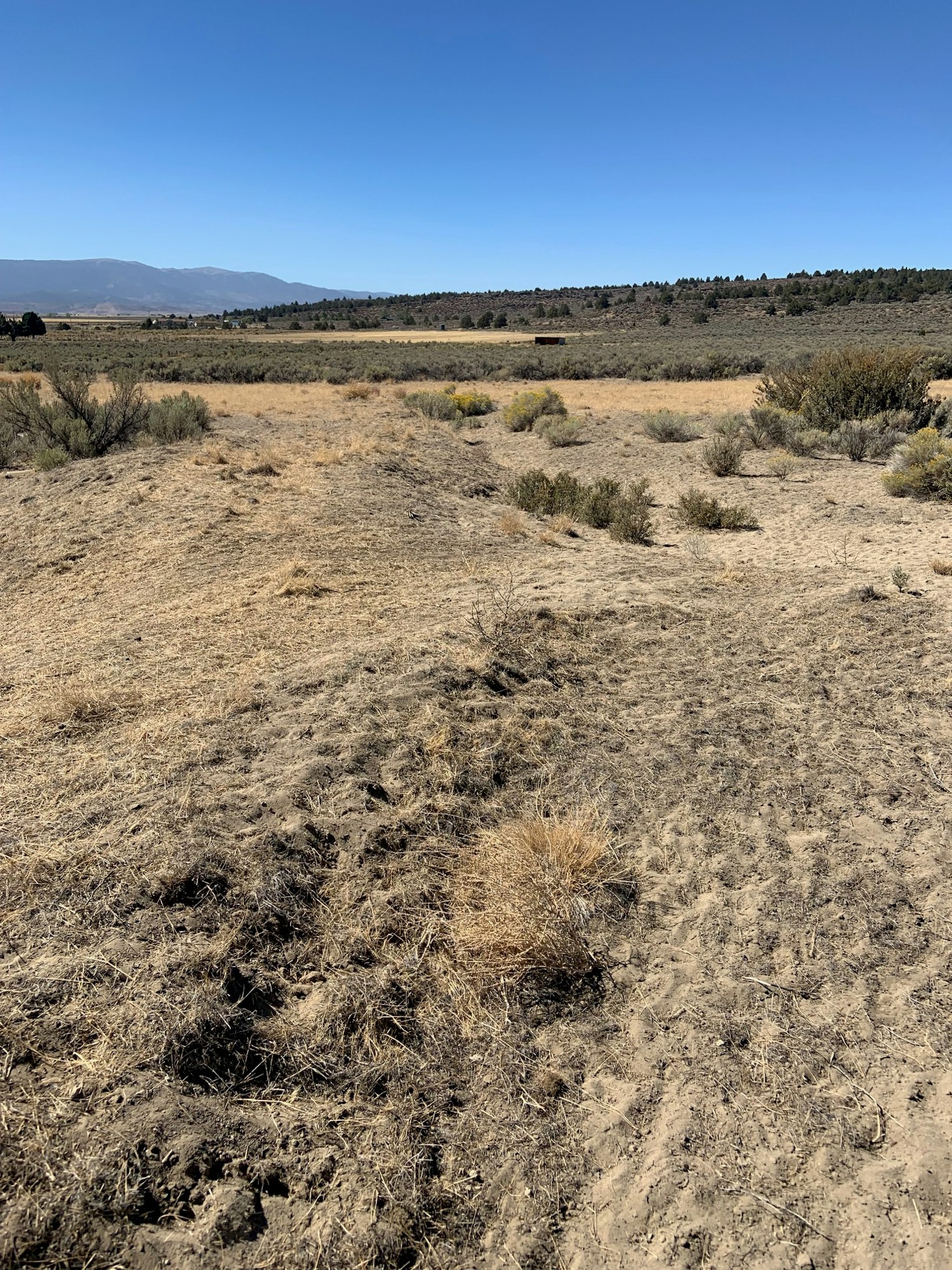 May contain: ground, nature, outdoors, wilderness, grass, plant, and road