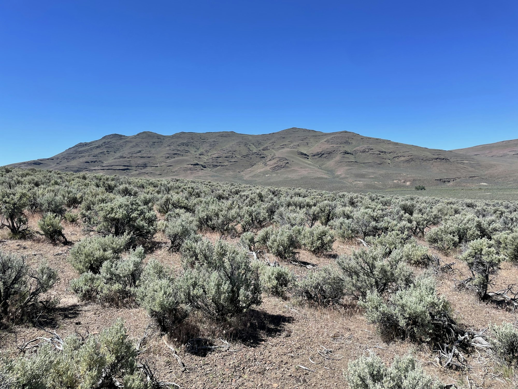 A vast desert landscape with sagebrush and distant hills under a clear blue sky.