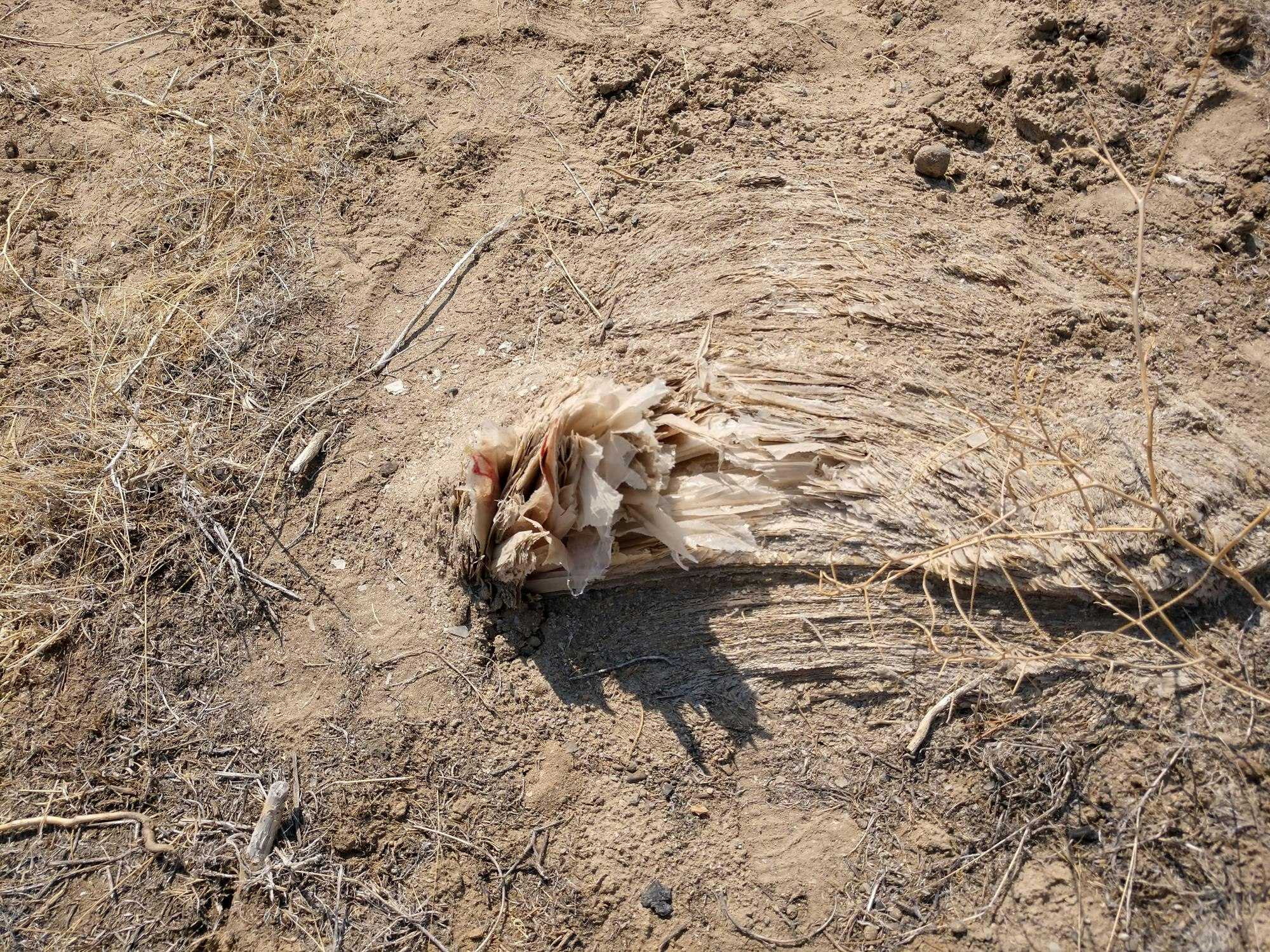 May contain: ground and soil