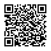 May contain: qr code and rug