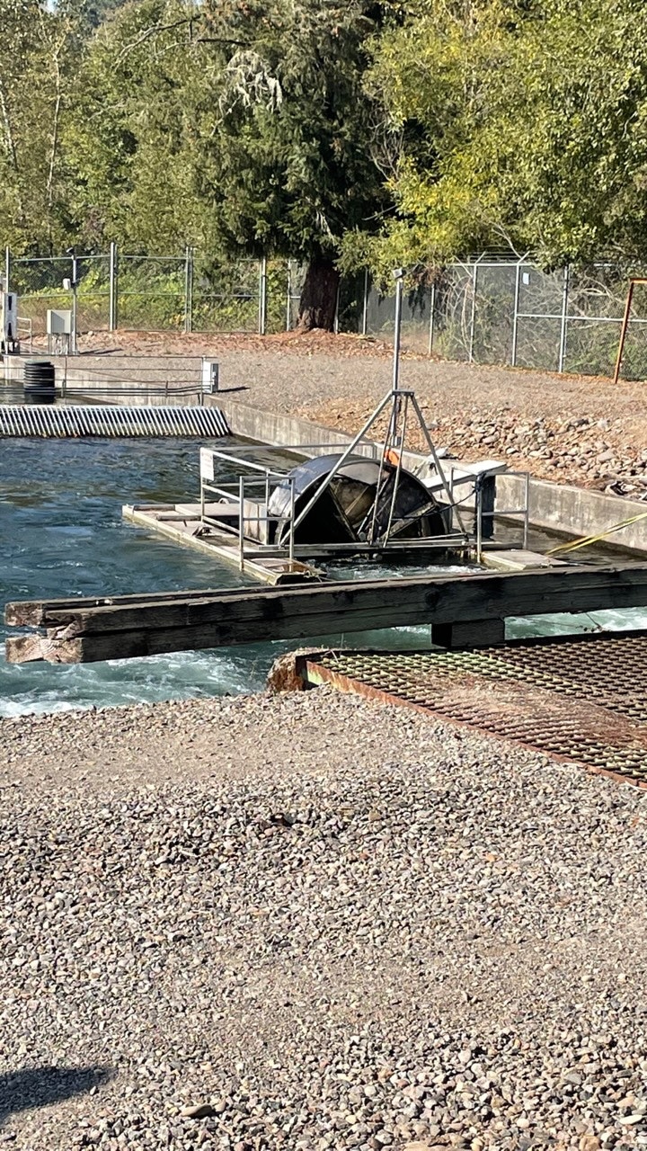 A water channel with mechanical equipment, surrounded by fencing and vegetation.