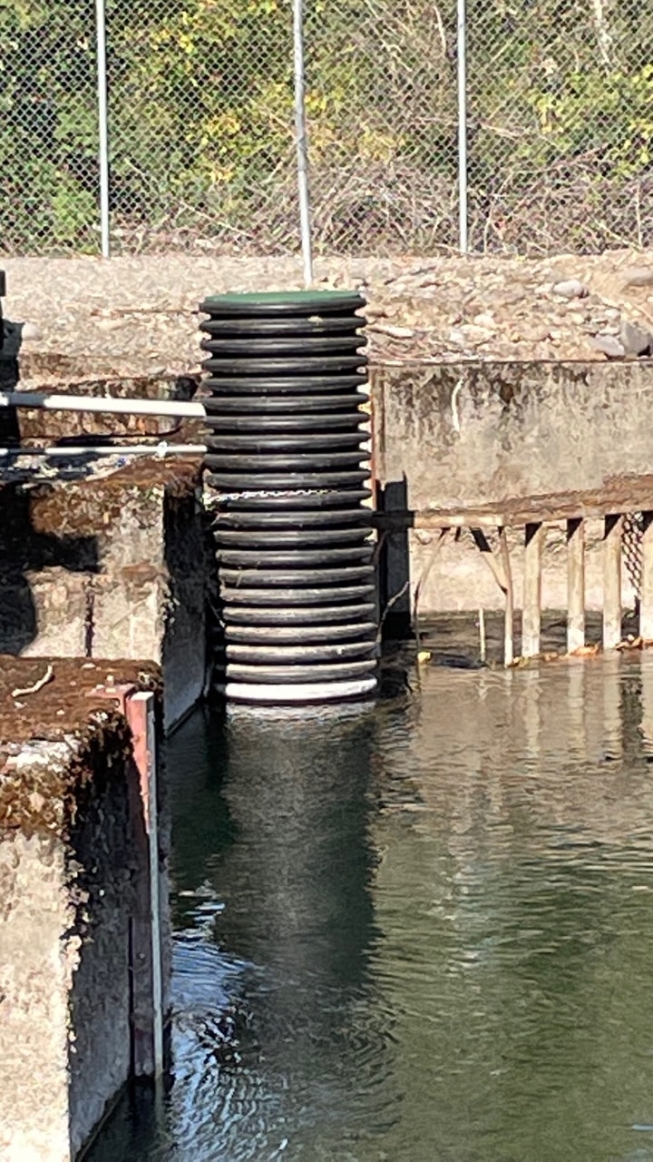 A stack of tires submerged in water near a concrete structure with a chain-link fence in the background.