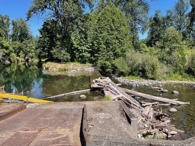 A small river with a log jam, surrounded by green trees and bushes under a clear blue sky.