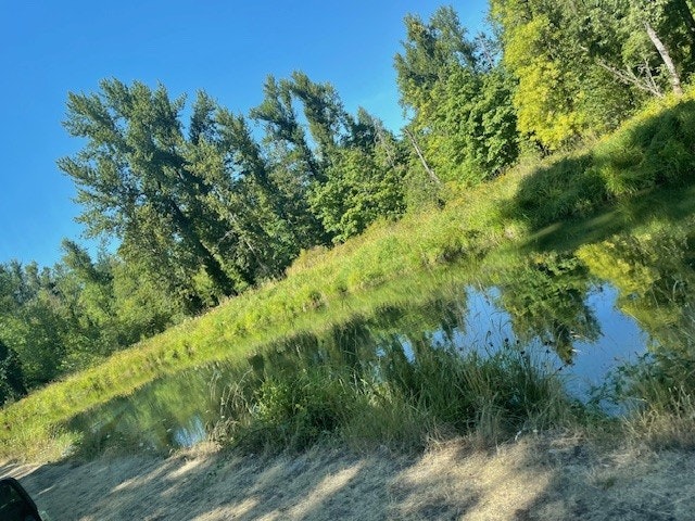 A serene landscape of a pond with trees and greenery reflecting in the water under a clear blue sky.