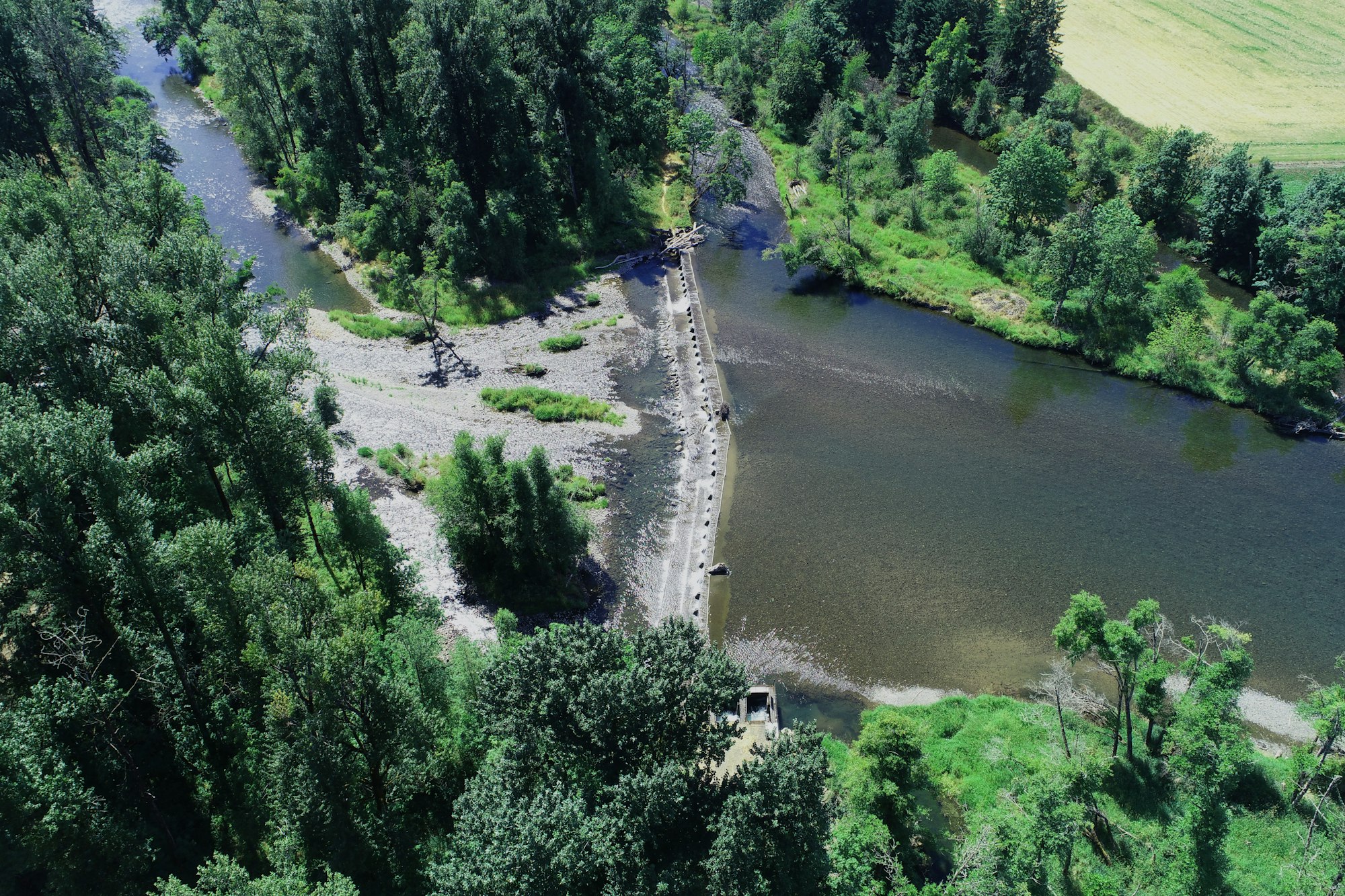 Aerial view of a river with a footbridge, surrounded by green trees and a field.