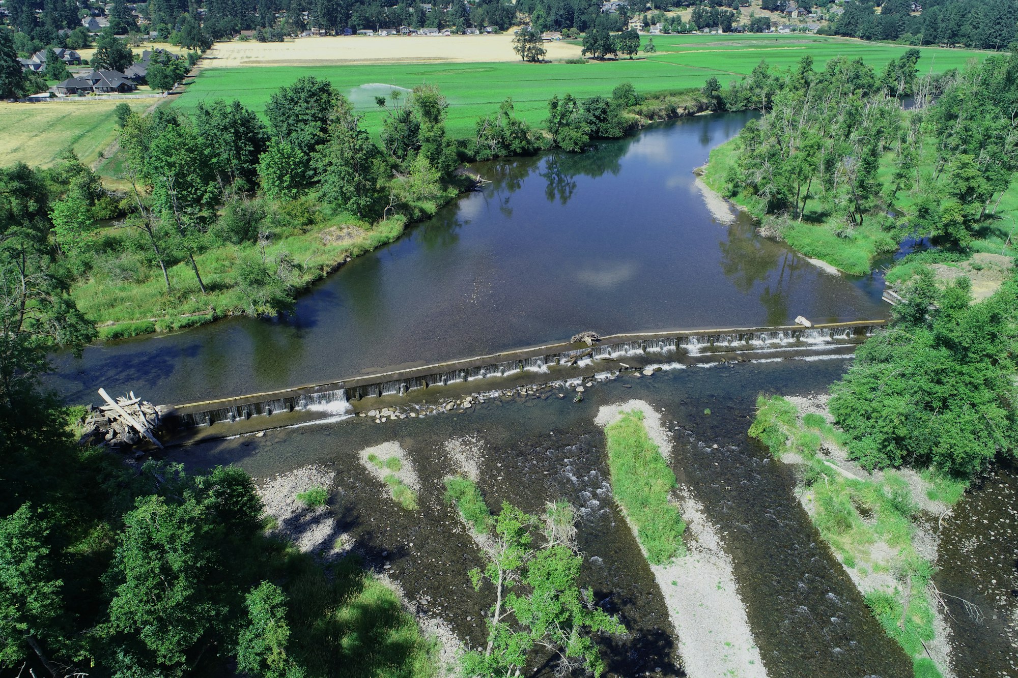 Aerial view of a river with a small dam and surrounding greenery.