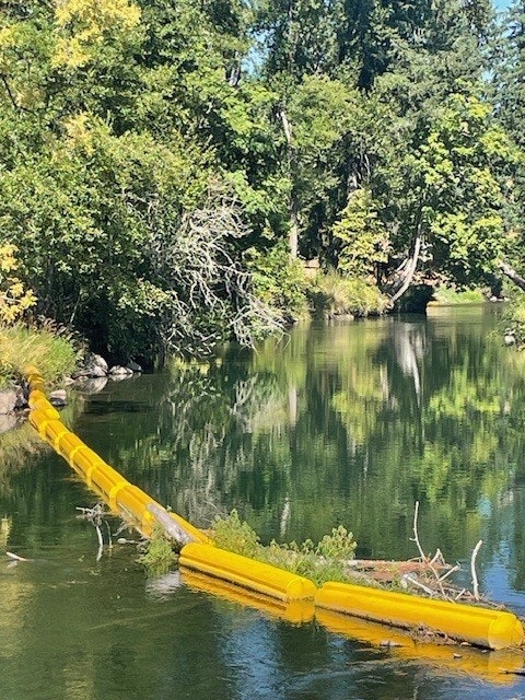 A yellow floating barrier in a calm river, surrounded by lush green trees on a sunny day.