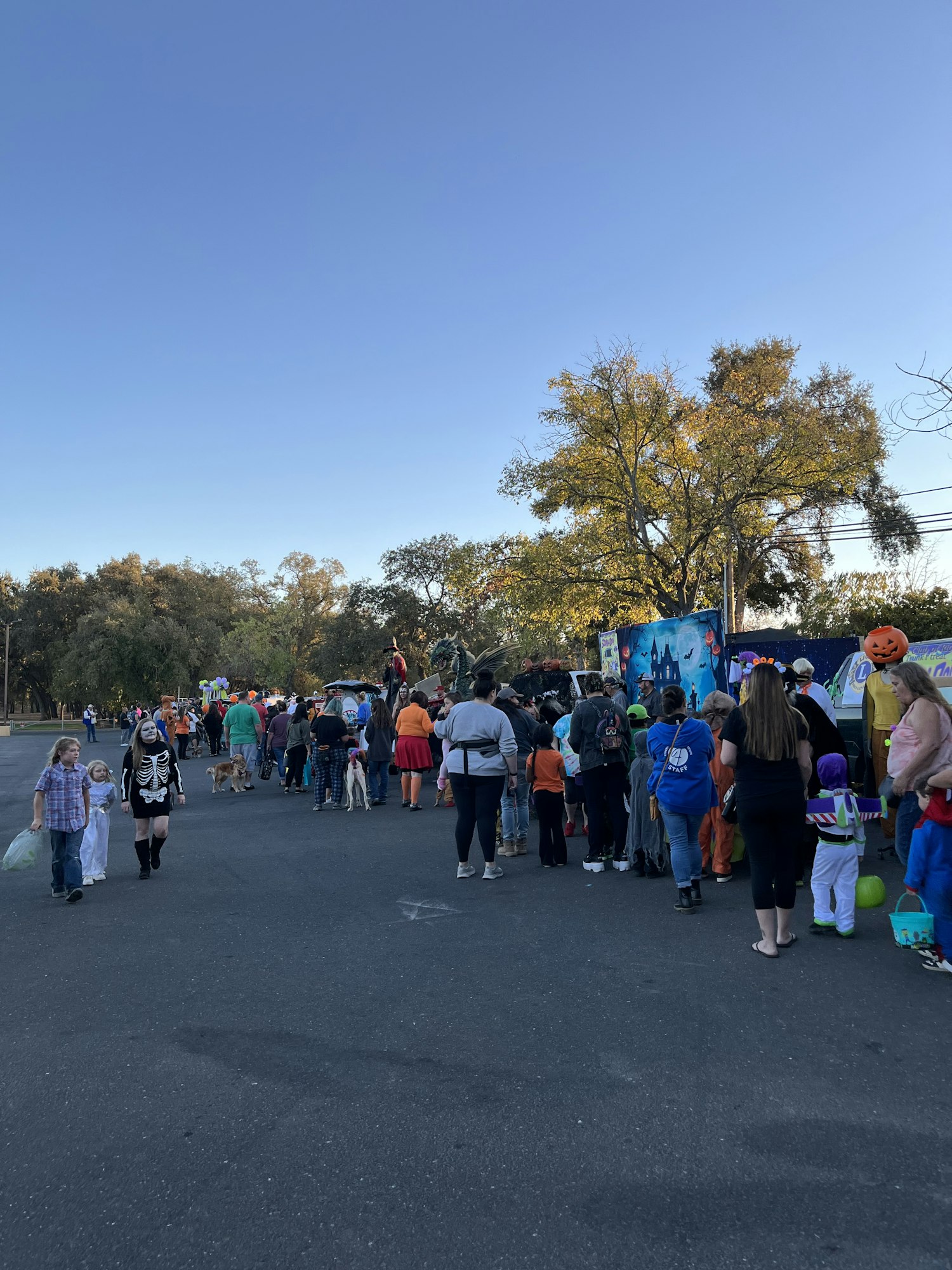 A crowd of people in costumes gathered outdoors on a sunny day, possibly for a Halloween event.