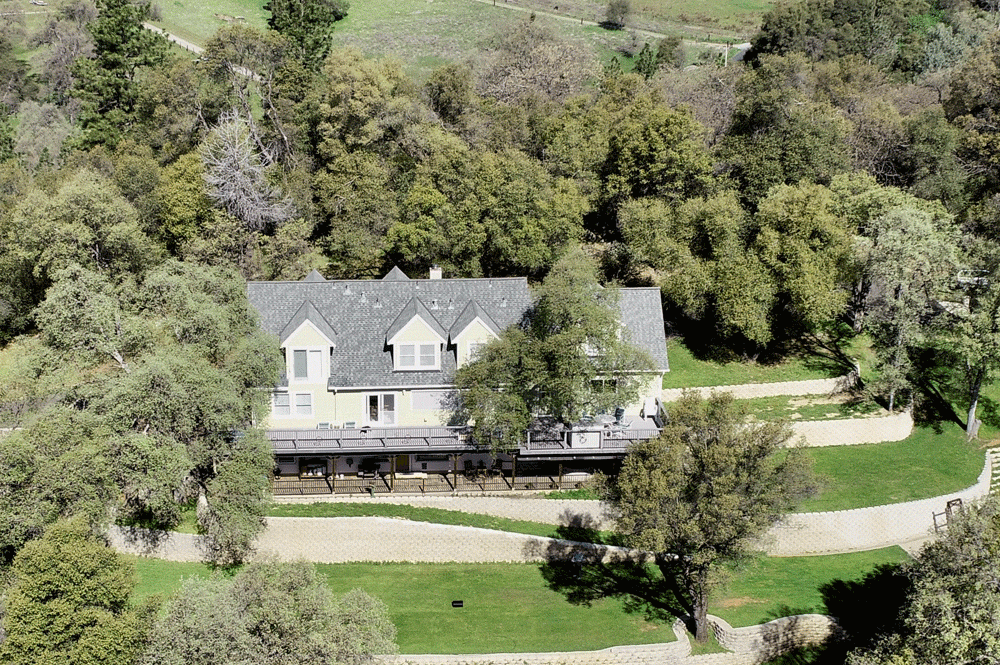 home, grass, trees