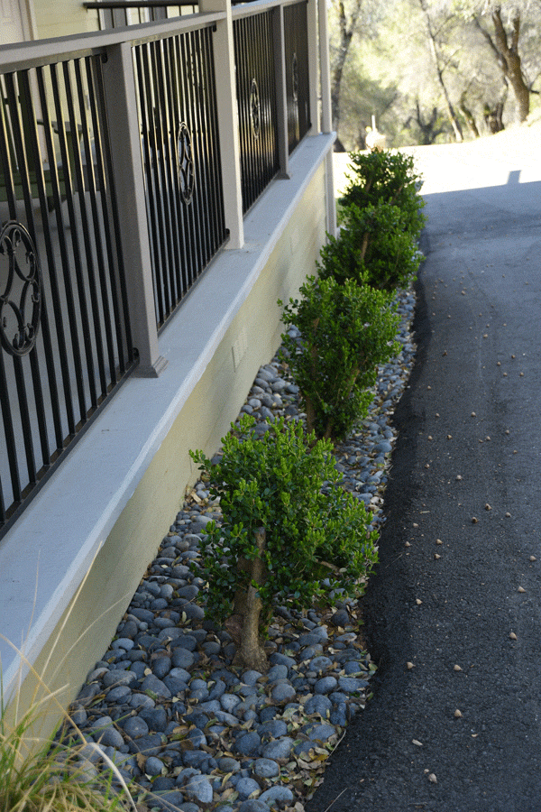 patio, fence, rocks, plants, road