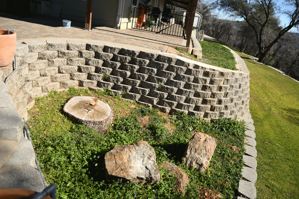 grass, wall, tree stump