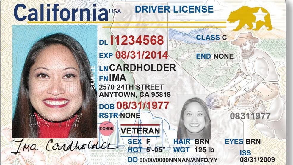 May contain: text, license, document, driving license, person, and human