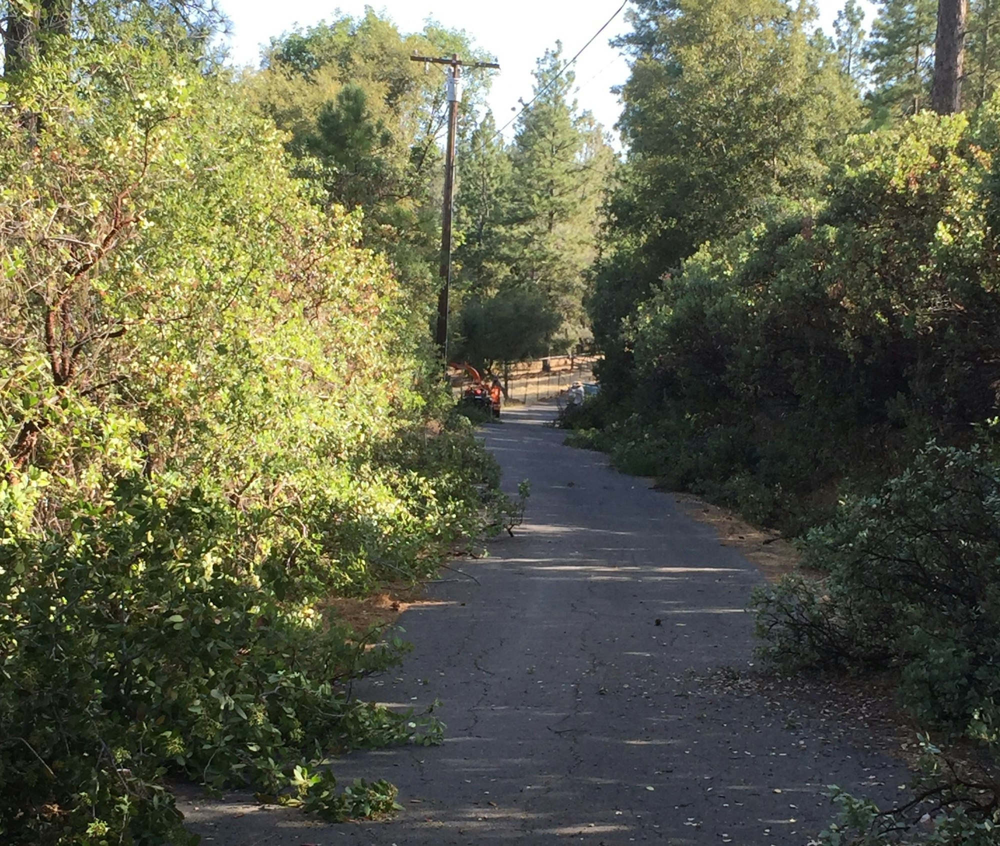 May contain: tarmac, asphalt, road, tree, and plant