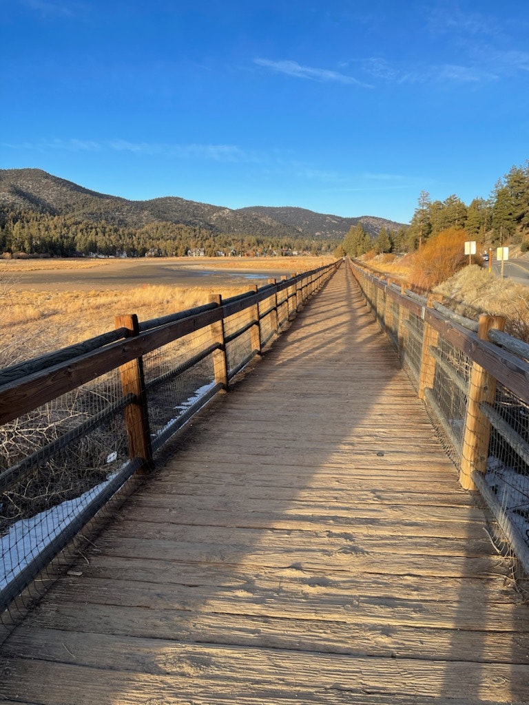 May contain: boardwalk, building, bridge, water, waterfront, pier, dock, and port