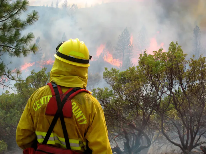 A firefighter in yellow gear watches a forest fire, with trees ablaze and smoke rising.